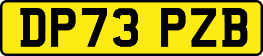DP73PZB