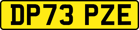 DP73PZE