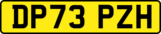 DP73PZH