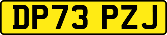 DP73PZJ