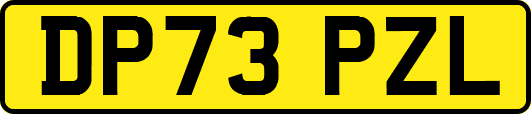 DP73PZL