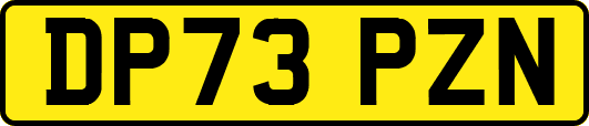 DP73PZN