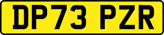 DP73PZR