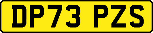 DP73PZS