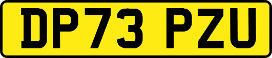 DP73PZU