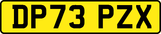DP73PZX
