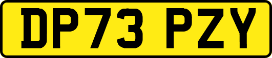 DP73PZY