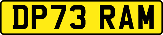 DP73RAM