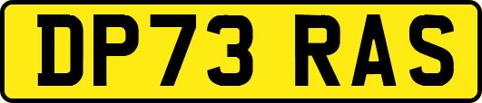 DP73RAS