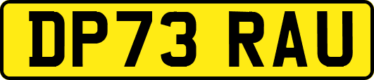 DP73RAU