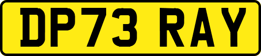 DP73RAY