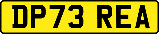 DP73REA