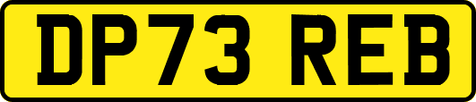 DP73REB