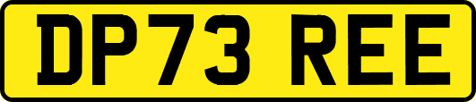 DP73REE