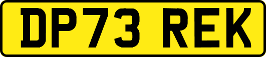 DP73REK