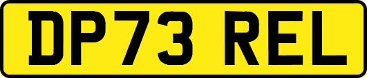 DP73REL