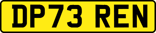 DP73REN