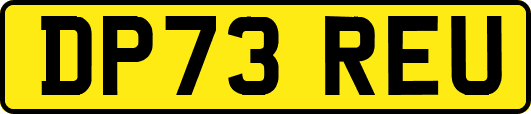 DP73REU