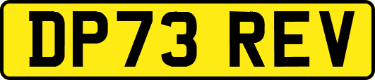 DP73REV