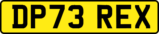 DP73REX