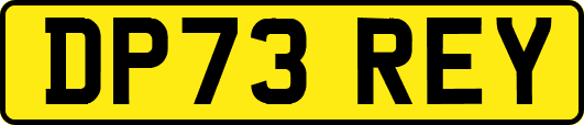 DP73REY