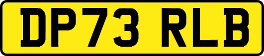 DP73RLB