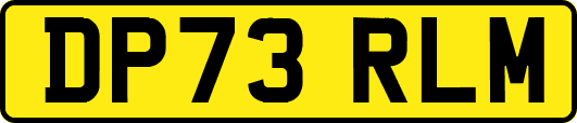 DP73RLM