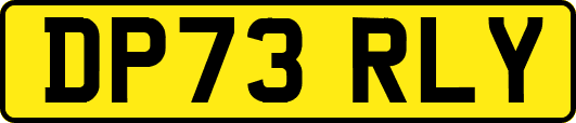 DP73RLY