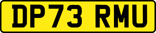 DP73RMU
