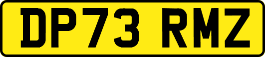 DP73RMZ