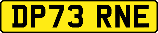 DP73RNE