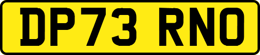 DP73RNO