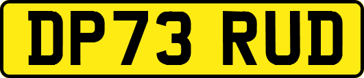 DP73RUD