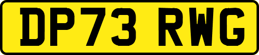 DP73RWG