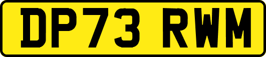 DP73RWM