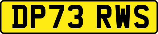 DP73RWS