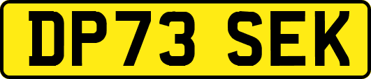DP73SEK