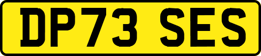 DP73SES
