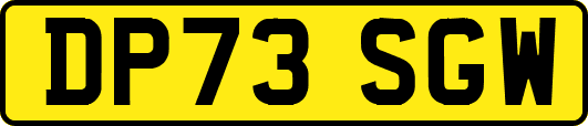 DP73SGW