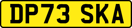 DP73SKA