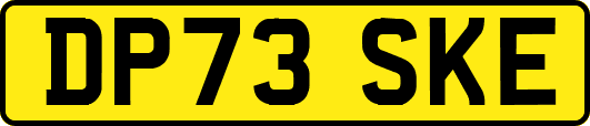 DP73SKE