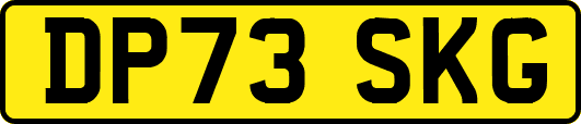 DP73SKG