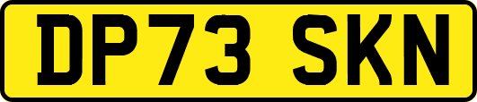 DP73SKN