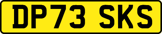 DP73SKS