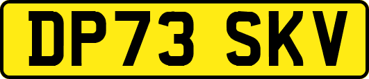 DP73SKV
