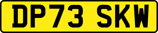 DP73SKW