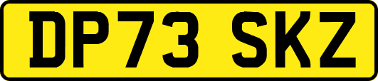DP73SKZ