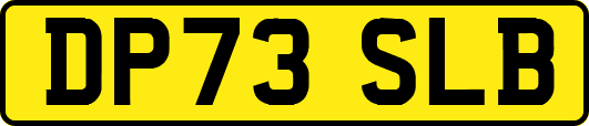 DP73SLB