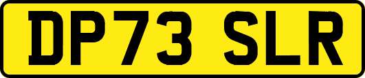 DP73SLR