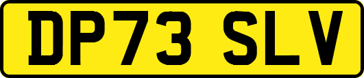 DP73SLV
